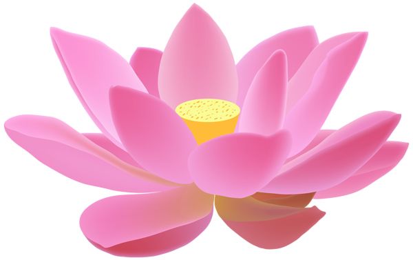 Lotus flower PNG    图片编号:69741