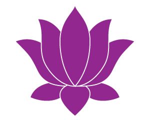 Lotus flower PNG    图片编号:69748