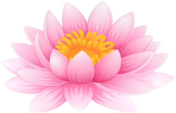 Lotus flower PNG    图片编号:69779