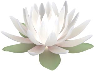 Lotus flower PNG    图片编号:69782