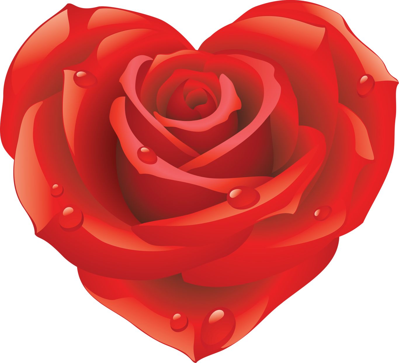 Rose png image, free picture download    图片编号:647