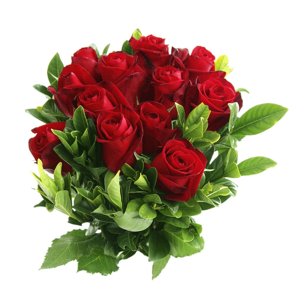 Bouquet of roses PNG image, free picture download    图片编号:648