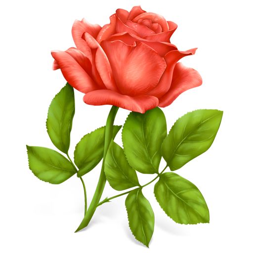 Pink rose png image, free picture download    图片编号:659