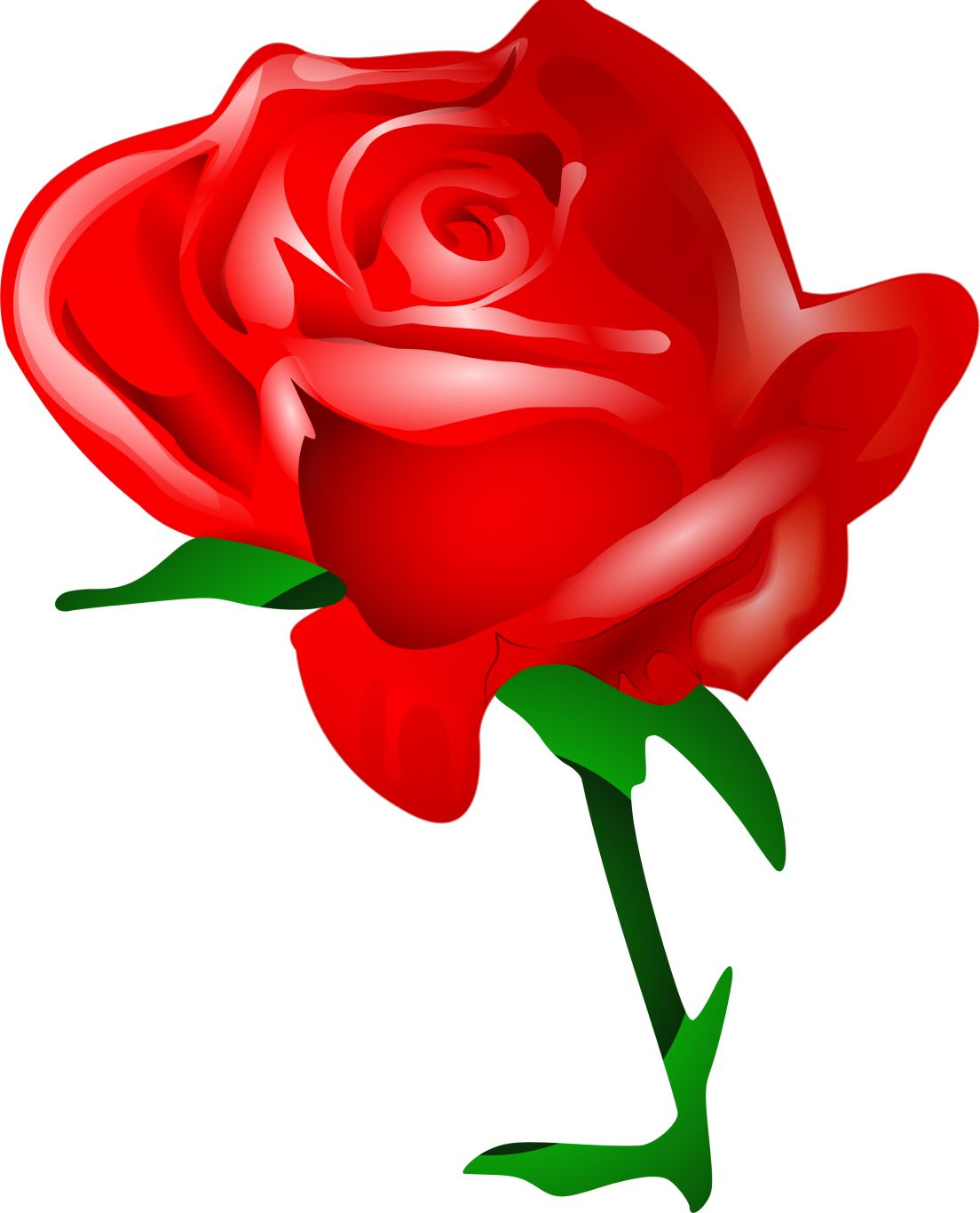 Rose png image, free picture download    图片编号:661