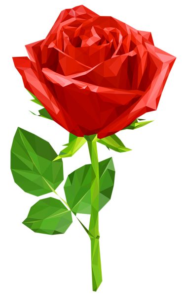 Rose PNG    图片编号:66757