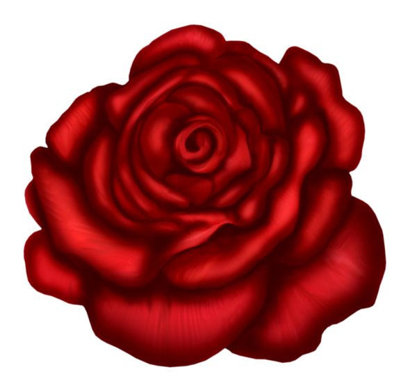 Rose PNG    图片编号:66854