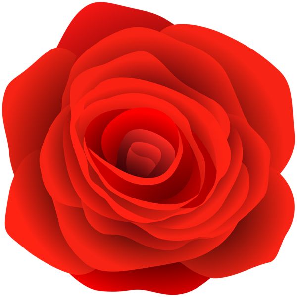 Rose PNG    图片编号:66960