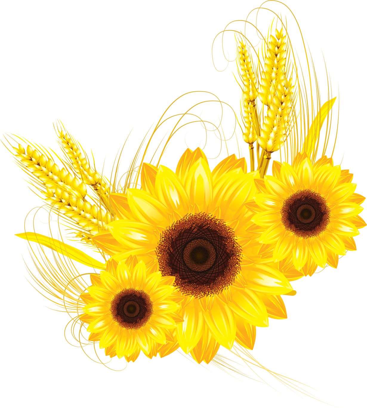 Sunflower PNG    图片编号:103785