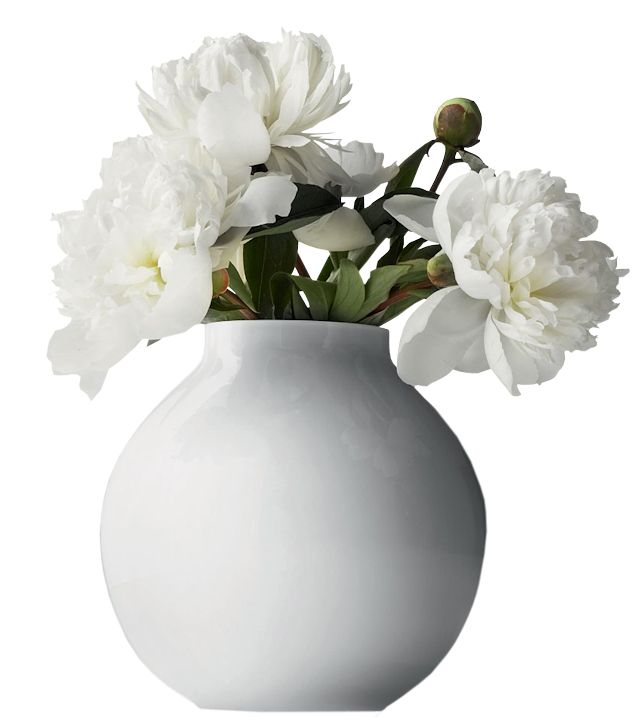 Vase PNG    图片编号:38391