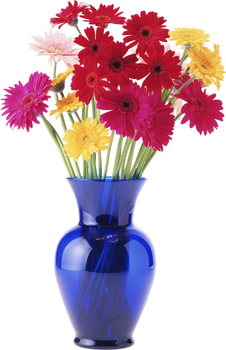 Vase PNG    图片编号:38294