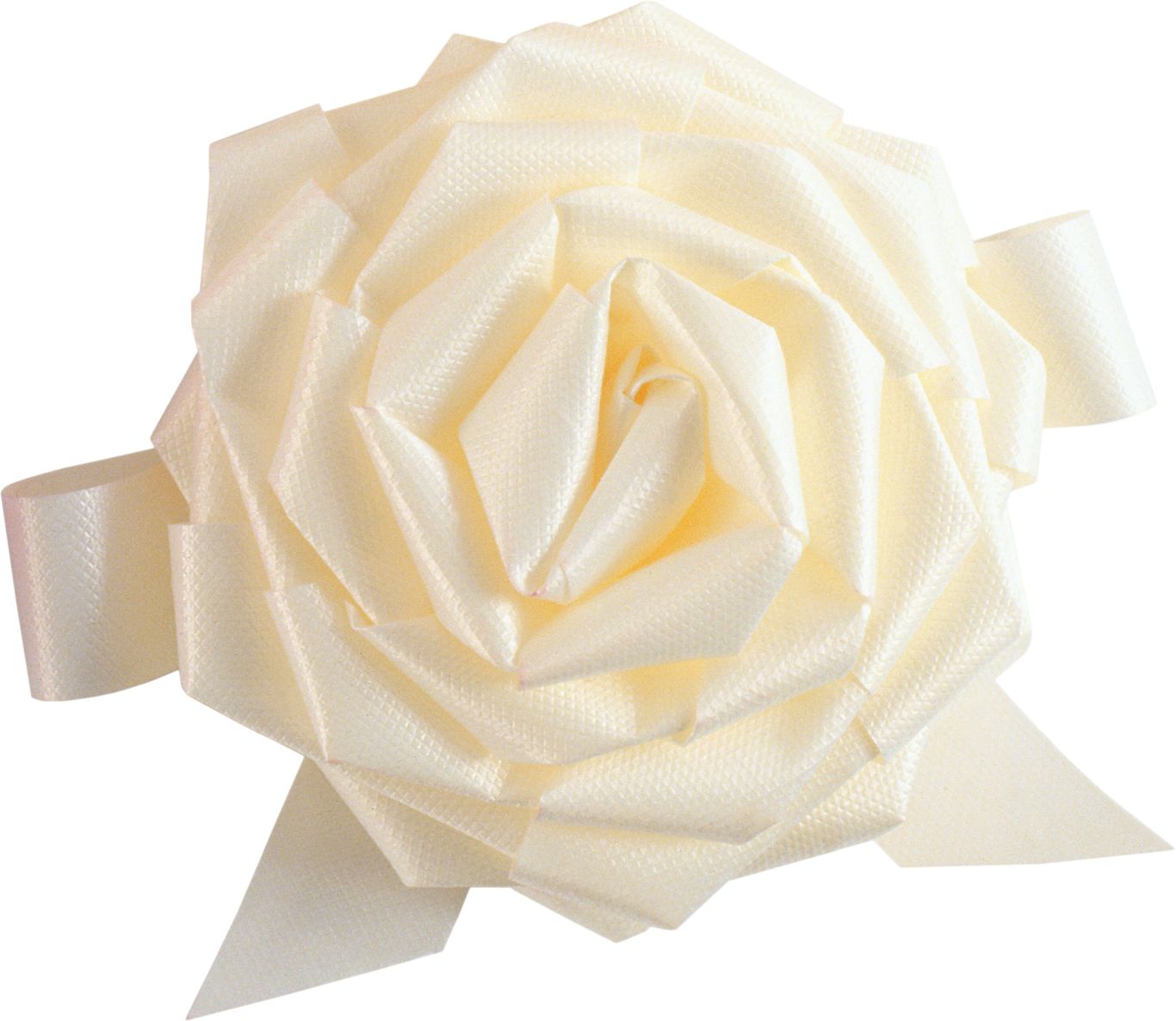 White rose PNG image, flower white rose PNG picture    图片编号:2782