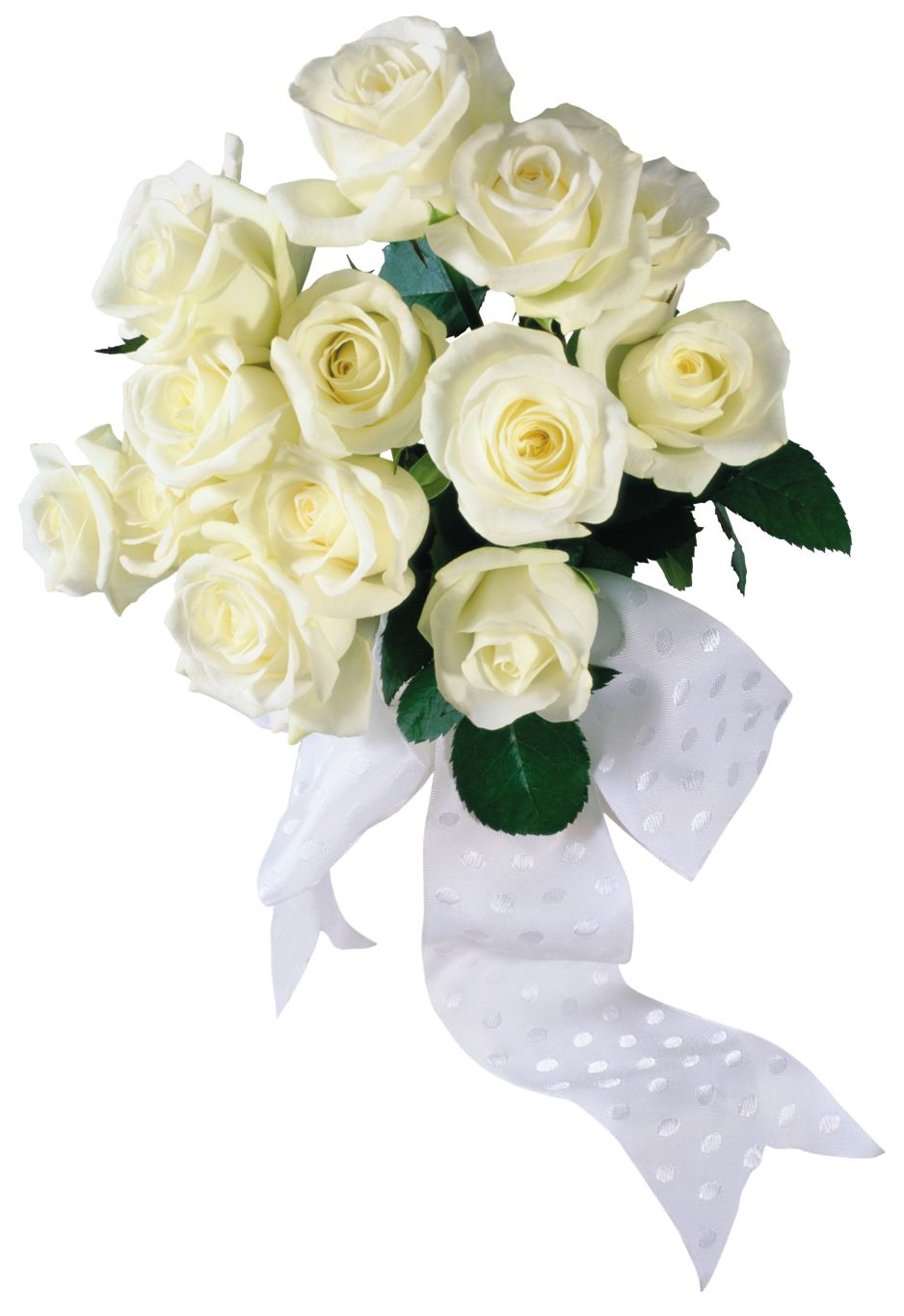 White roses PNG image    图片编号:2792