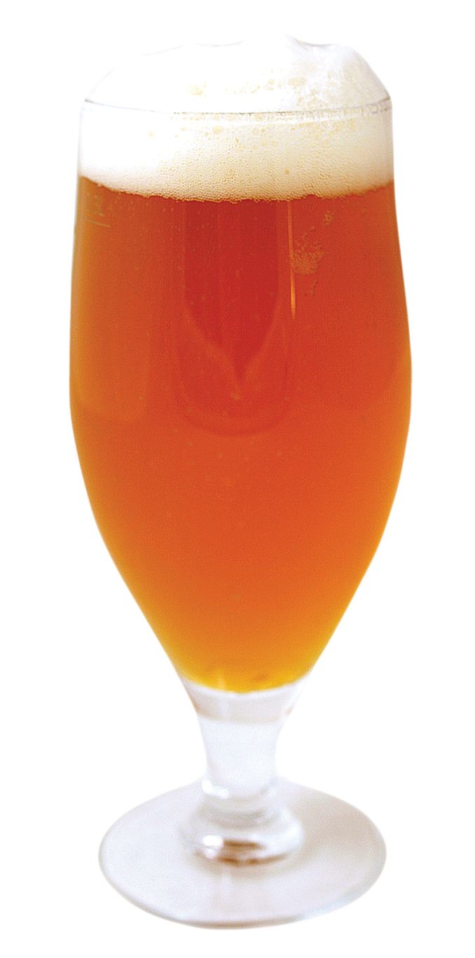 goblet beer PNG image    图片编号:2386