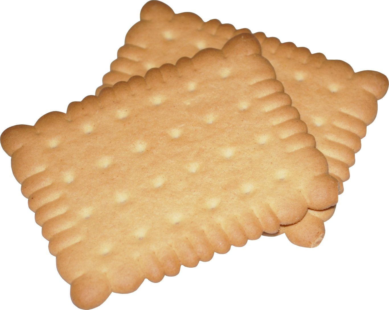 Biscuit PNG    图片编号:36680