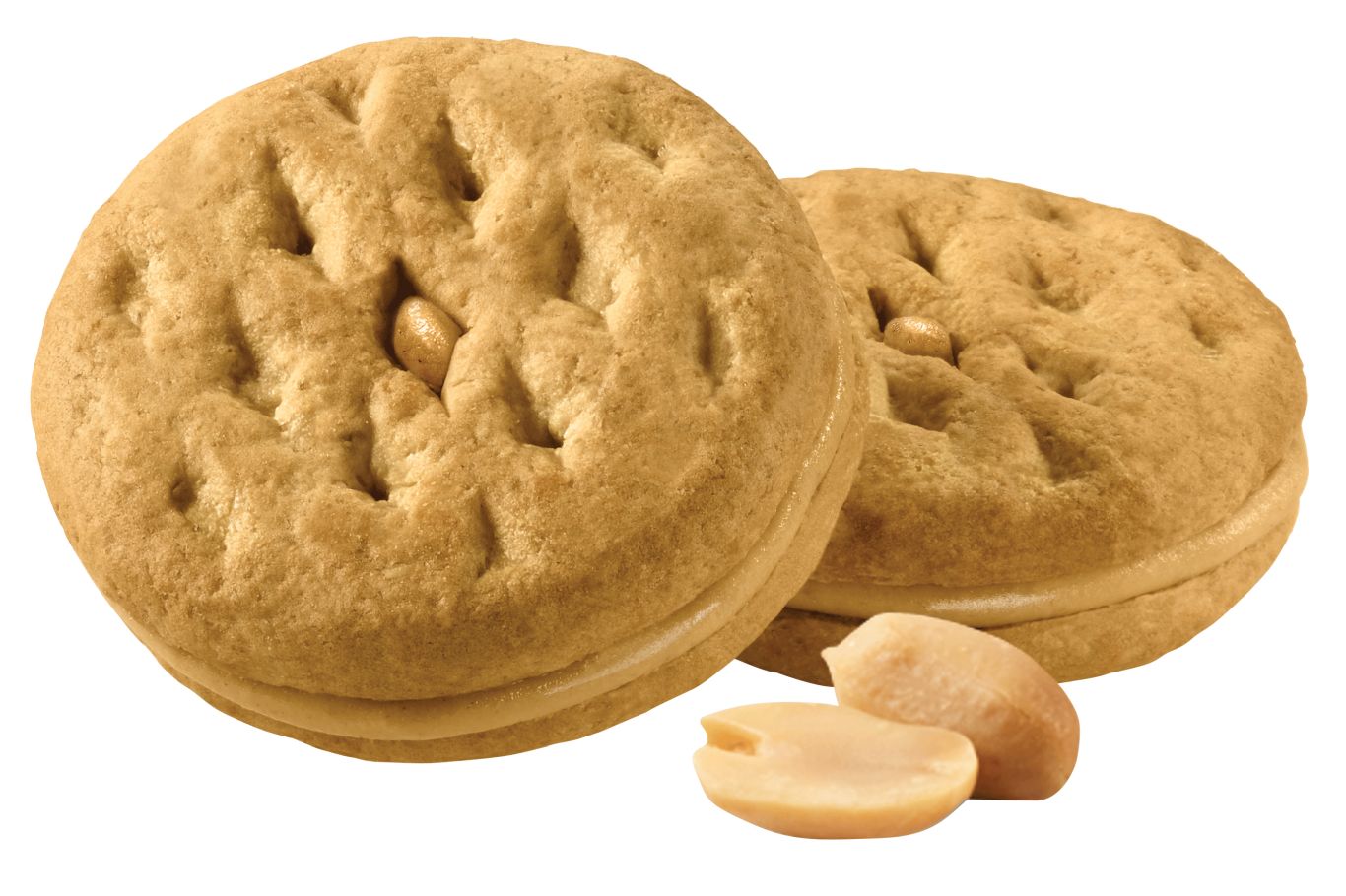 Biscuit PNG    图片编号:36681