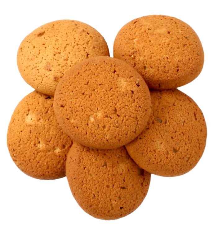 Biscuit PNG    图片编号:36590