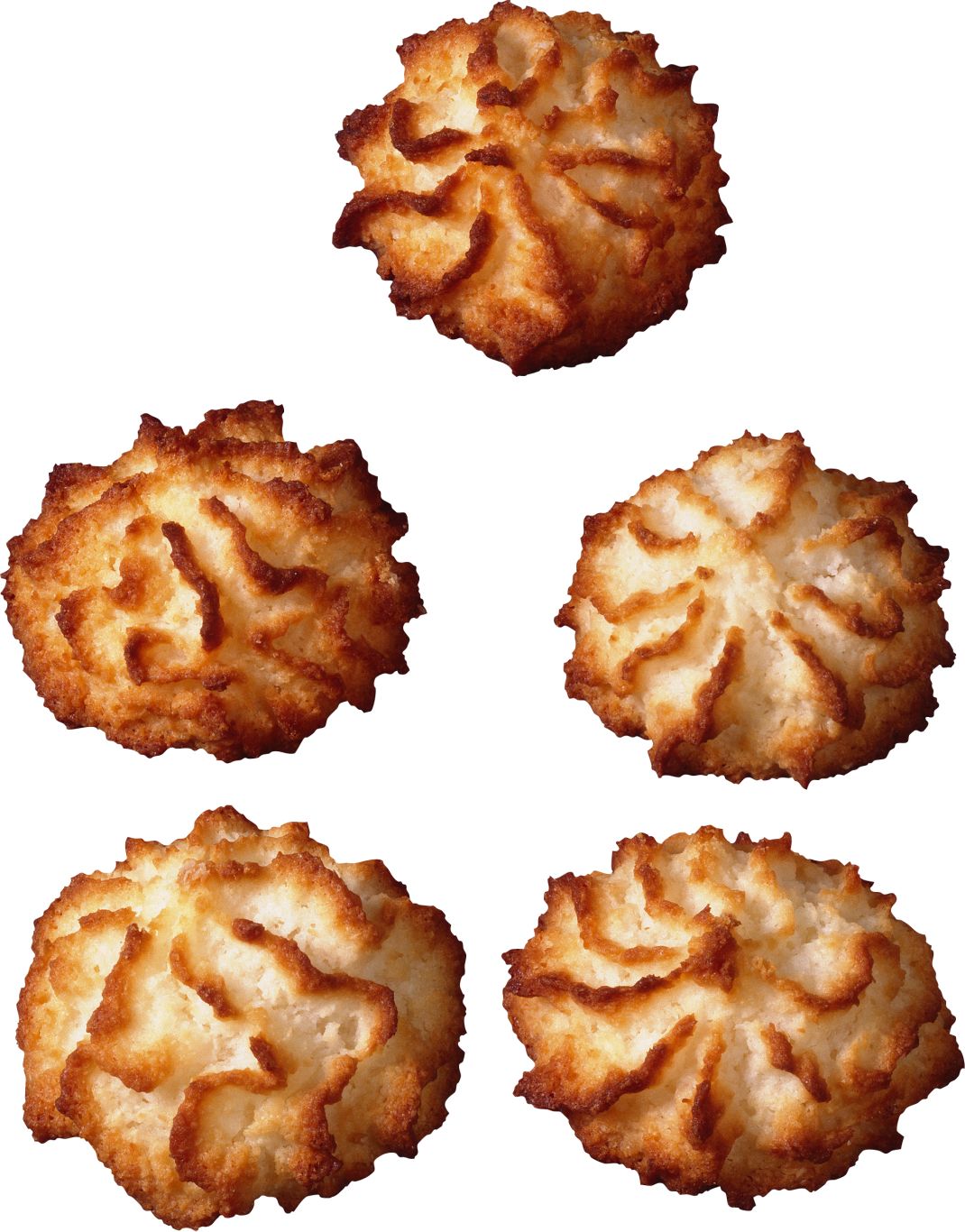Biscuit PNG    图片编号:36594