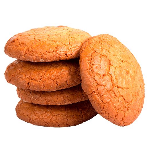 Biscuit PNG    图片编号:36578