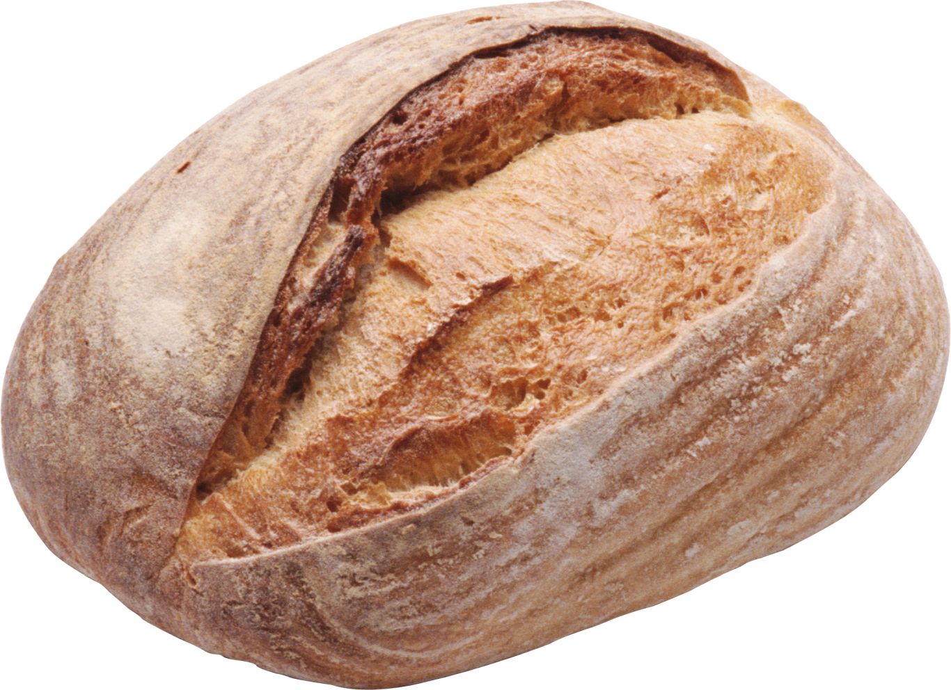 Bread PNG image    图片编号:2271