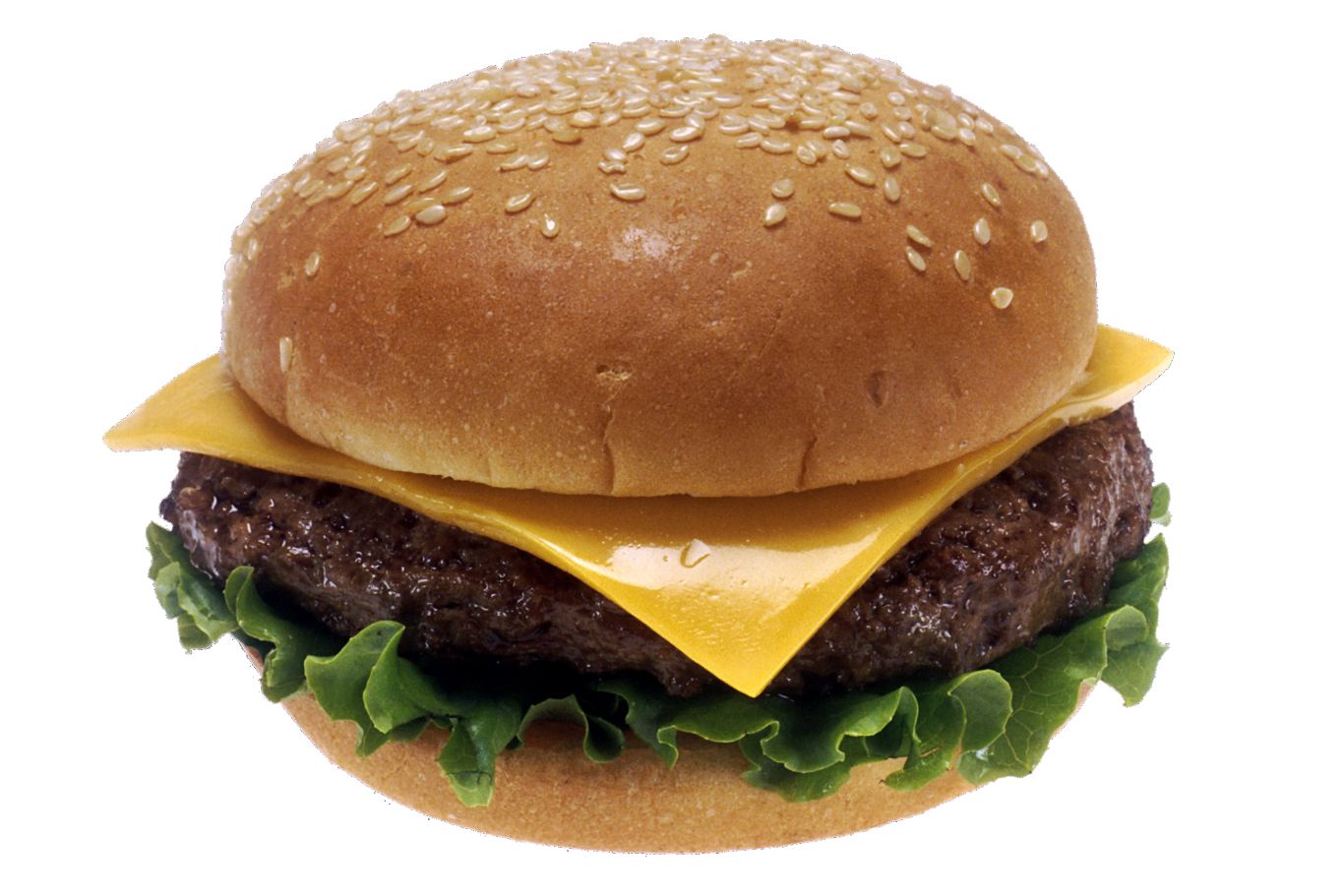 hamburger, burger PNG image    图片编号:4144