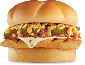 hamburger, burger PNG image    图片编号:4152