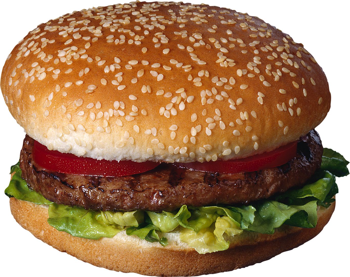 Hamburger PNG    图片编号:96738