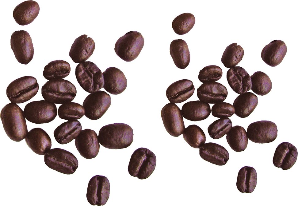 Coffee beans PNG image    图片编号:9272