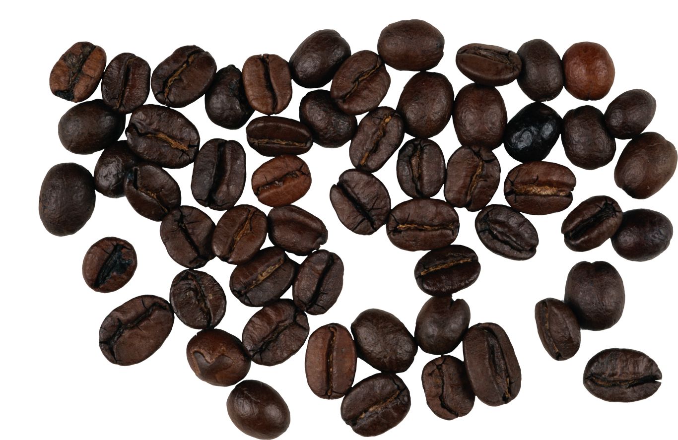 Coffee beans PNG image    图片编号:9275