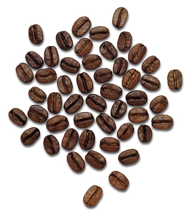 Coffee beans PNG image    图片编号:9283