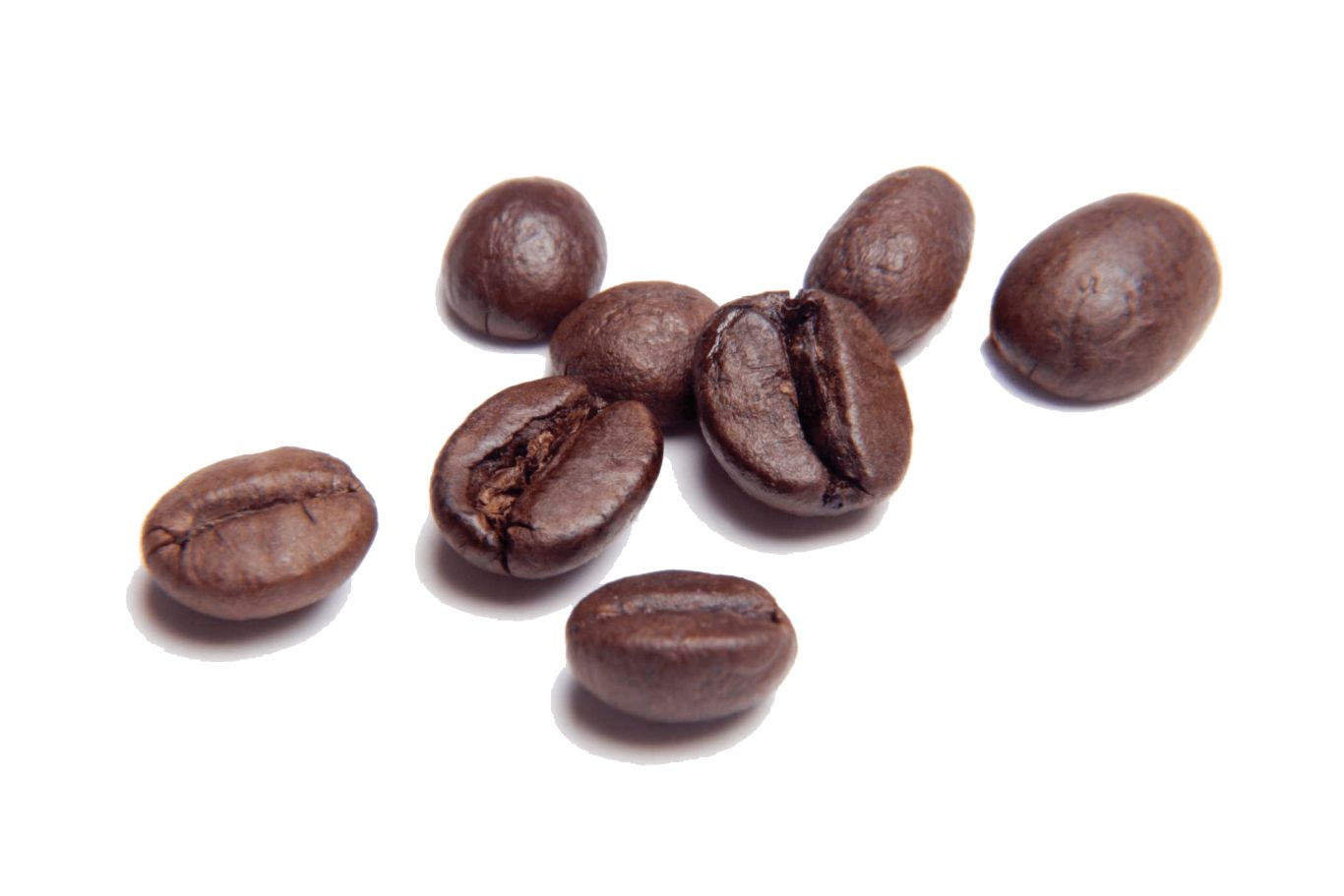 Coffee beans PNG    图片编号:97293