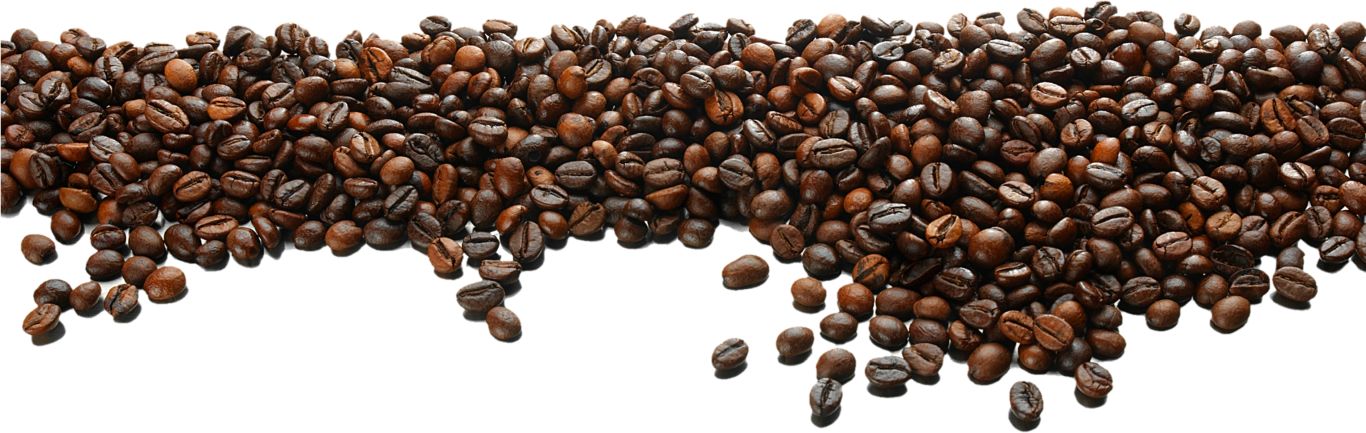 Coffee beans PNG    图片编号:97294
