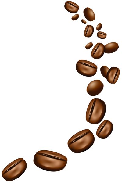 Coffee beans PNG    图片编号:97299