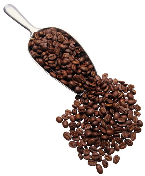 Coffee beans PNG    图片编号:97305
