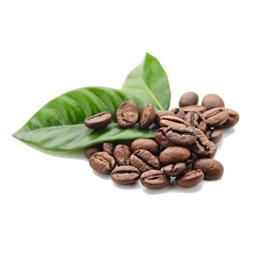 Coffee beans PNG    图片编号:97310