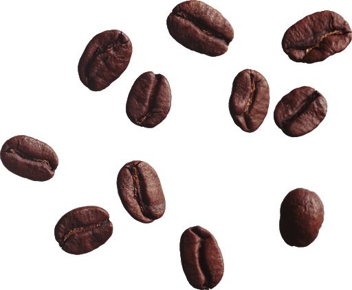 Coffee beans PNG    图片编号:97316