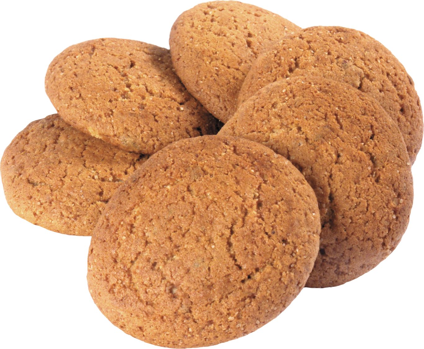 Cookie PNG    图片编号:13627