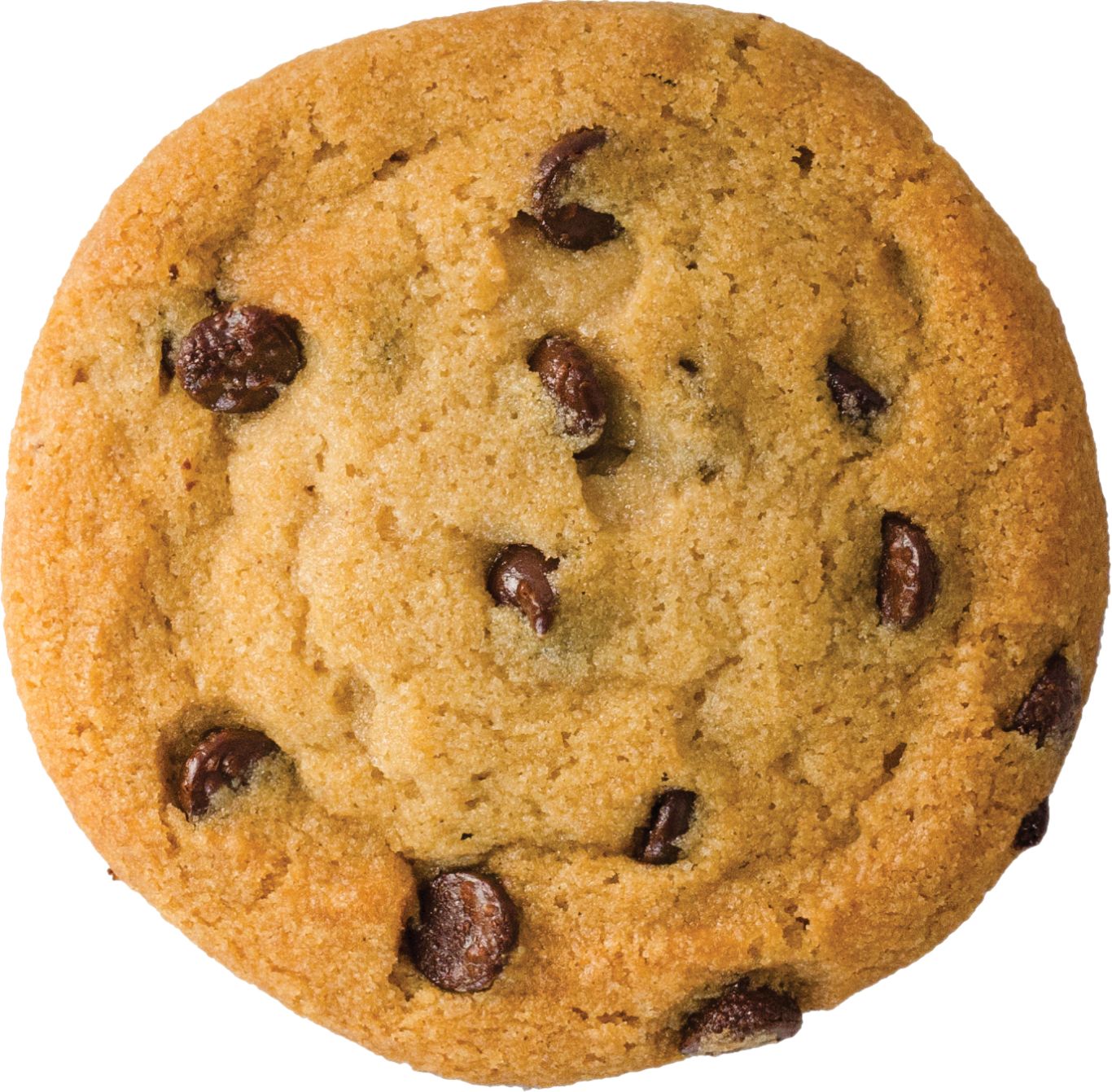 Cookie PNG    图片编号:13656