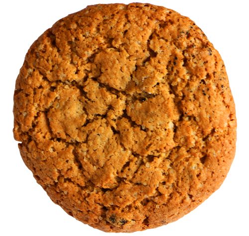 Cookie PNG    图片编号:13665