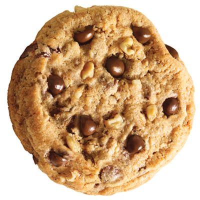 Cookie PNG    图片编号:13669