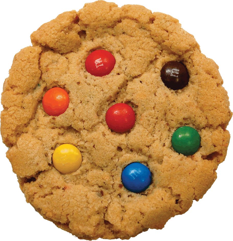 Cookie PNG    图片编号:13681