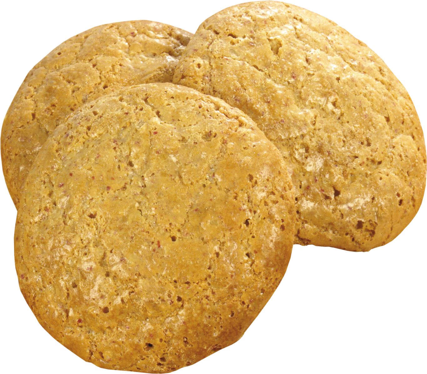 Cookie PNG    图片编号:13699
