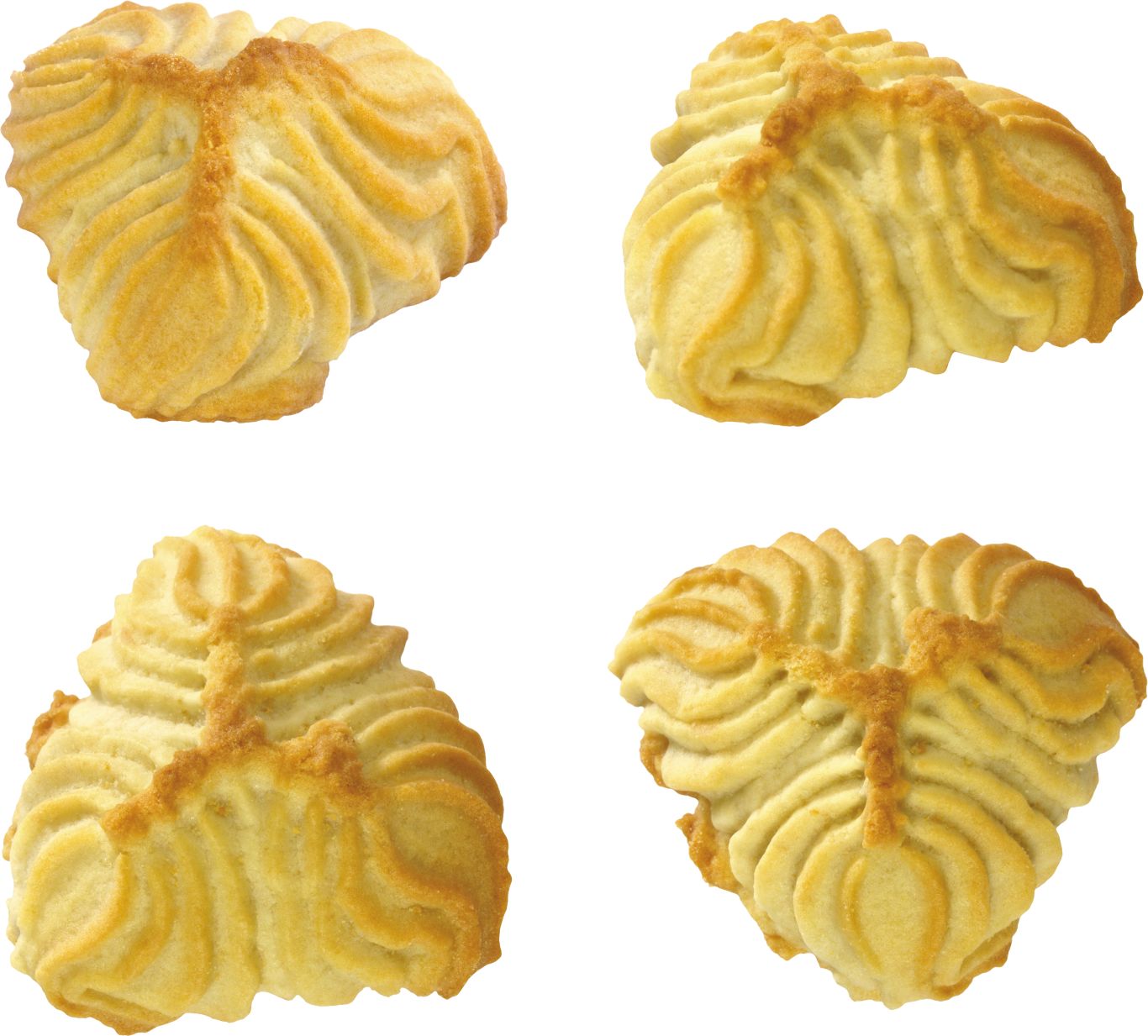 Cookie PNG    图片编号:97341