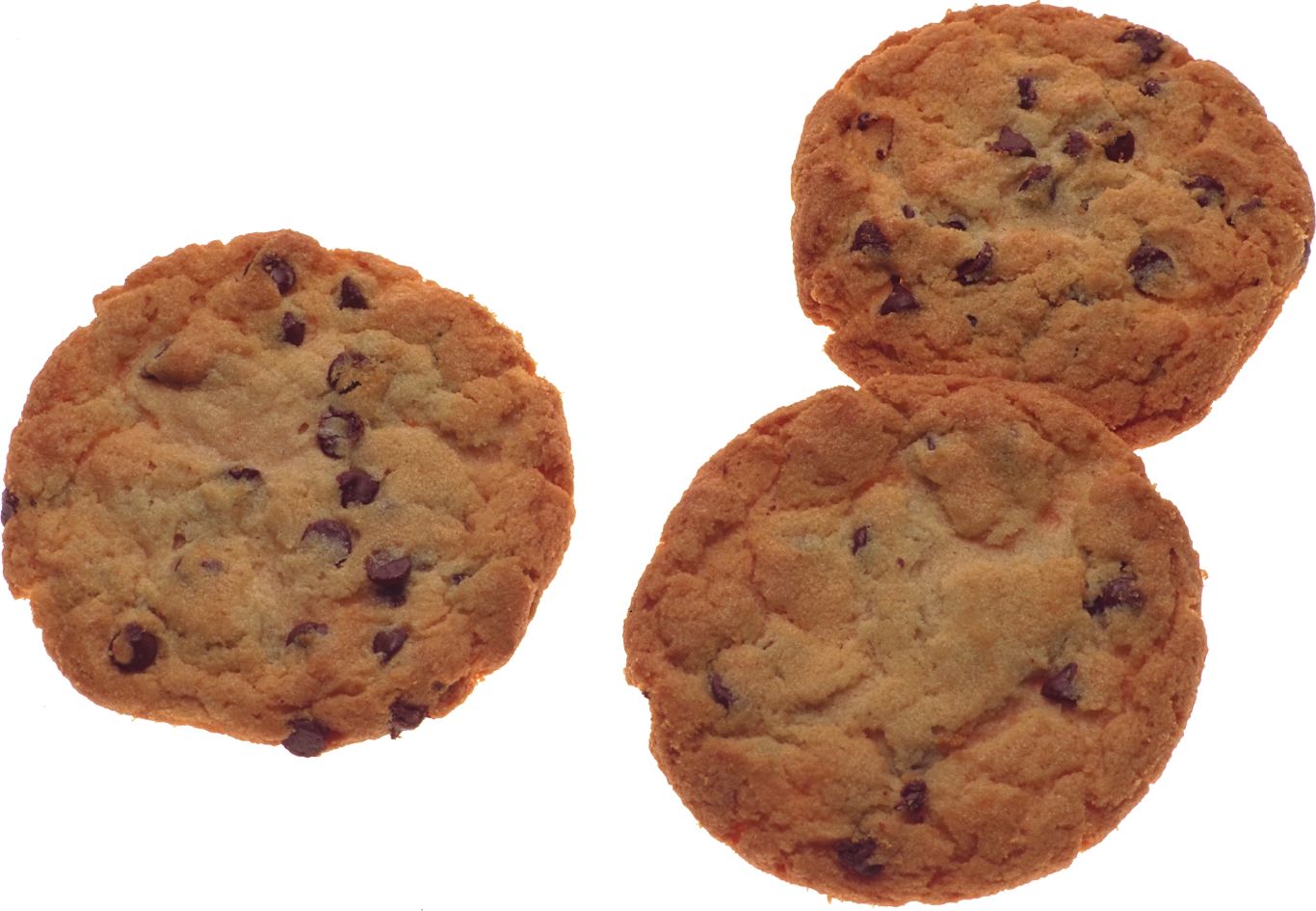 Cookie PNG    图片编号:97346