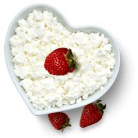 Cottage cheese PNG    图片编号:48625