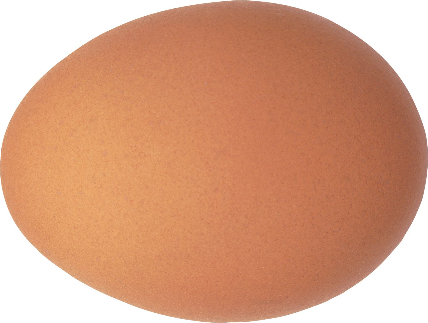 Egg PNG image    图片编号:4470