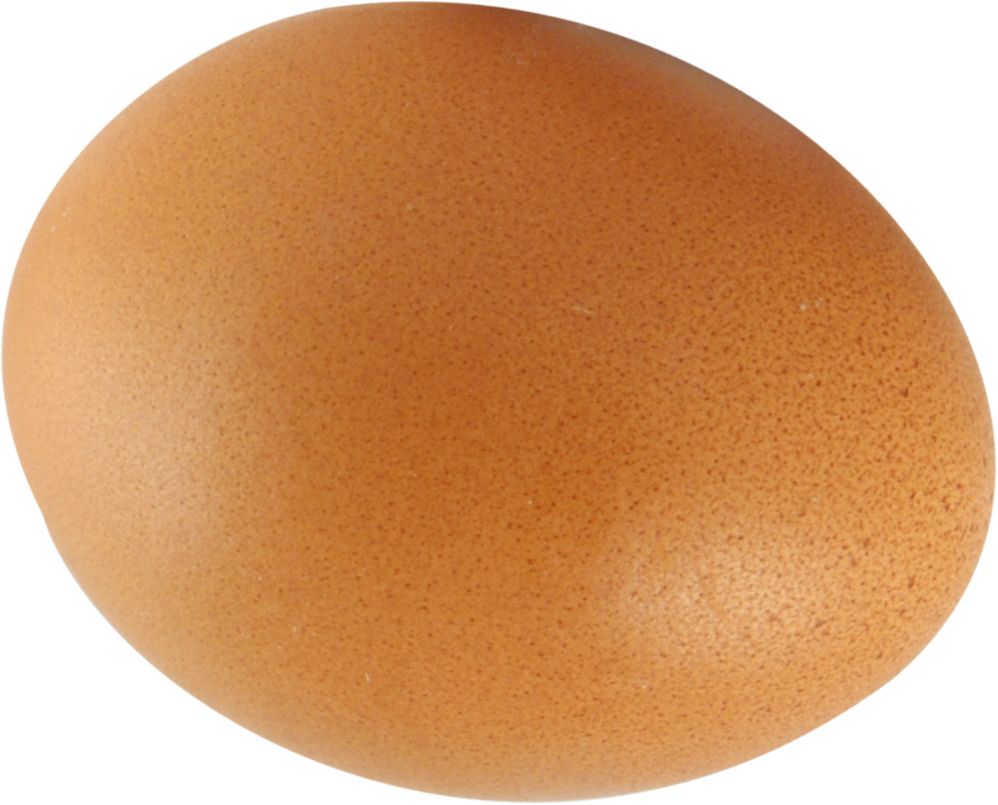 Egg PNG image    图片编号:4471