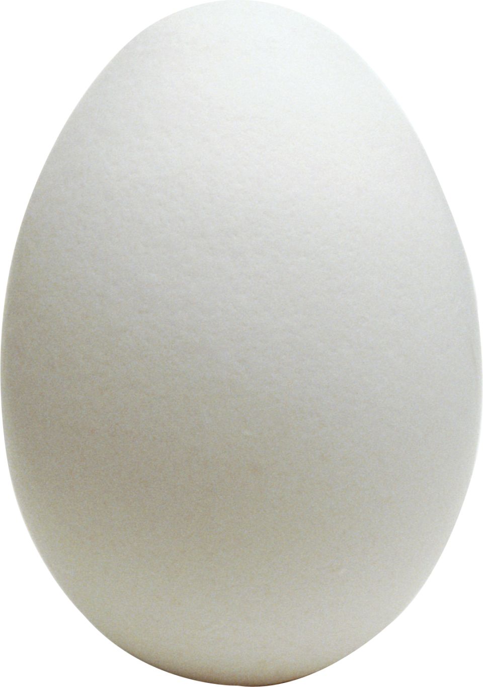 Egg PNG image    图片编号:4474