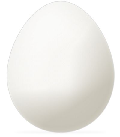 Egg PNG image    图片编号:4480