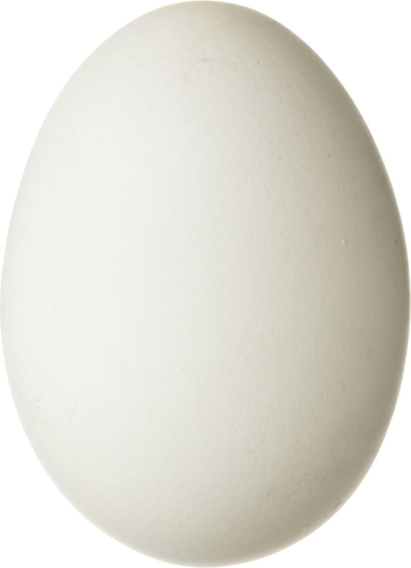 Egg PNG image    图片编号:4491