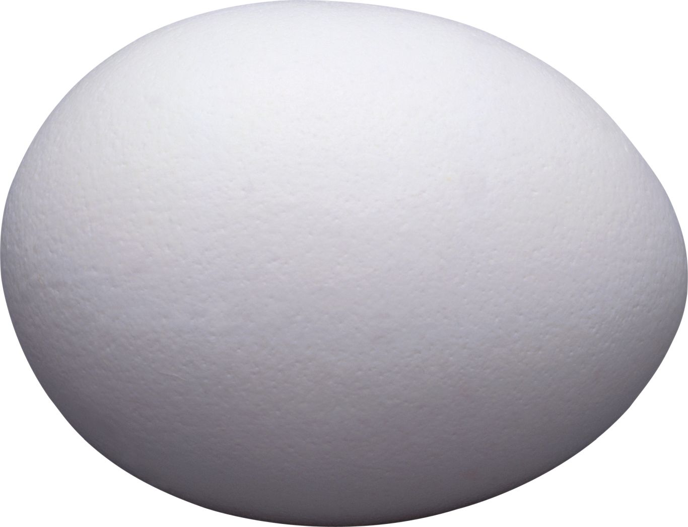 egg PNG    图片编号:40793